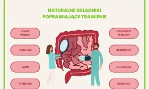 Ilustracja przedstawia jelita i składniki wspierające kurację jelitowo metaboliczną: koper włoski, kurkumę, imbir, tymianek, ostropest plamisty, berberynę, chlorellę i spirulinę.