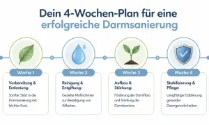 4-tygodniowy plan: przygotowanie, oczyszczanie, odbudowa jelit i stabilizacja.