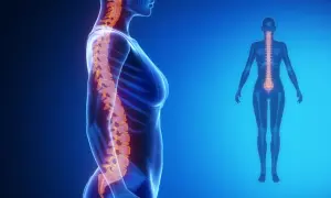 Anatomia kręgosłupa z widoczną lordozą. Kręgosłup w kolorze pomarańczowym na tle niebieskiej sylwetki kobiety.