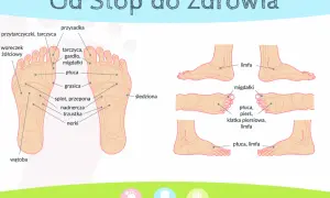 Schemat punktów refleksologicznych na stopach. Akupresura stóp może wspierać zdrowie narządów wewnętrznych, takich jak płuca, nerki czy wątroba.