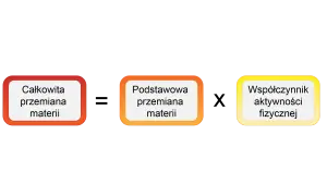 Trzy pola: "Całkowita przemiana materii", "Podstawowa przemiana materii" i "Współczynnik aktywności fizycznej".
