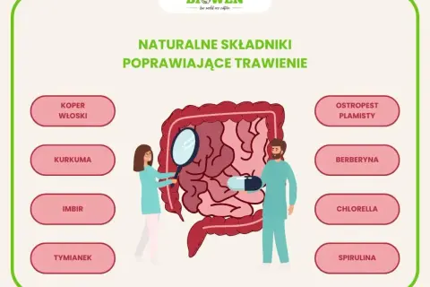 Ilustracja przedstawia jelita i składniki wspierające kurację jelitowo metaboliczną: koper włoski, kurkumę, imbir, tymianek, ostropest plamisty, berberynę, chlorellę i spirulinę.