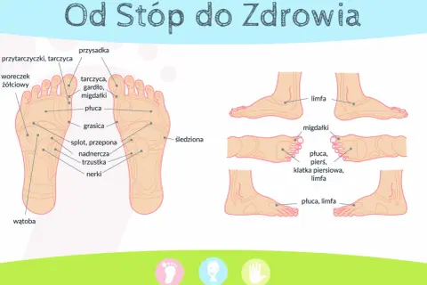 Schemat punktów refleksologicznych na stopach. Akupresura stóp może wspierać zdrowie narządów wewnętrznych, takich jak płuca, nerki czy wątroba.