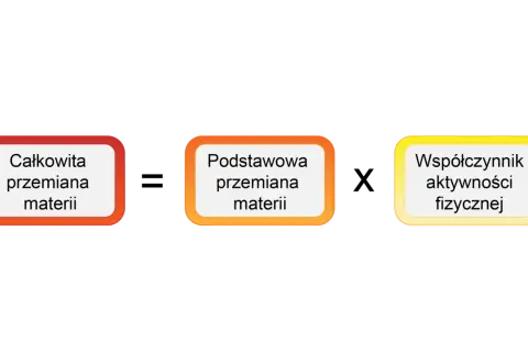 Trzy pola: "Całkowita przemiana materii", "Podstawowa przemiana materii" i "Współczynnik aktywności fizycznej".