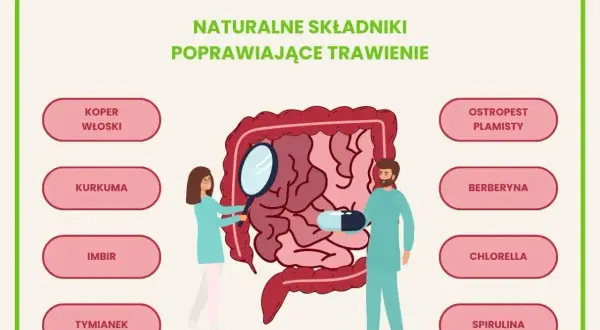 Ilustracja przedstawia jelita i składniki wspierające kurację jelitowo metaboliczną: koper włoski, kurkumę, imbir, tymianek, ostropest plamisty, berberynę, chlorellę i spirulinę.