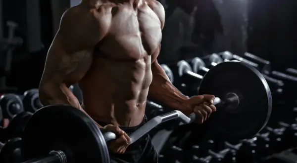 Mięśnie antagonistyczne w akcji: kulturysta wykonuje uginanie ramion ze sztangą, napinając biceps i rozciągając triceps.