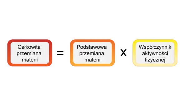 Trzy pola: "Całkowita przemiana materii", "Podstawowa przemiana materii" i "Współczynnik aktywności fizycznej".