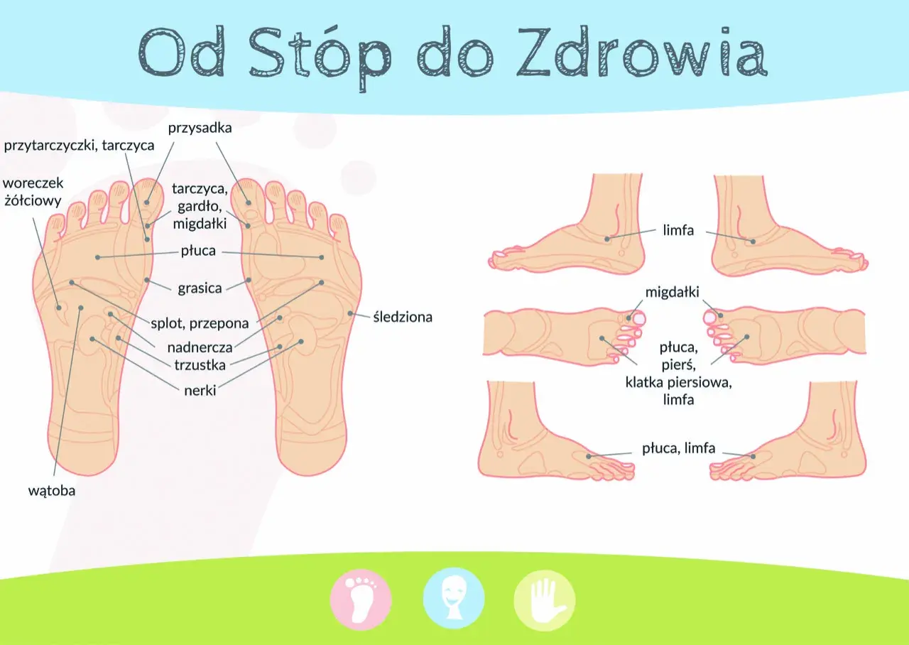 Schemat punktów refleksologicznych na stopach. Akupresura stóp może wspierać zdrowie narządów wewnętrznych, takich jak płuca, nerki czy wątroba.