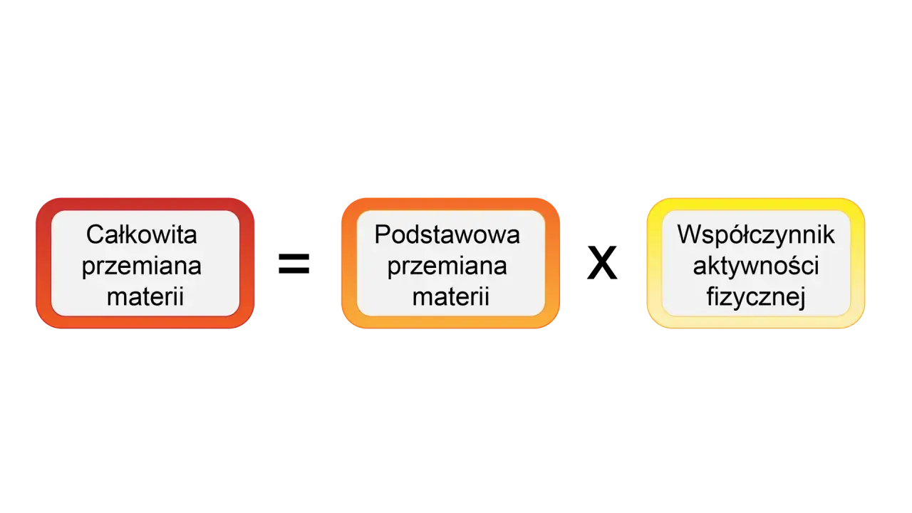 Trzy pola: "Całkowita przemiana materii", "Podstawowa przemiana materii" i "Współczynnik aktywności fizycznej".