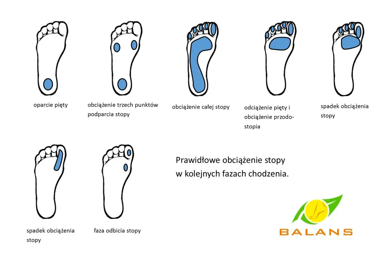 Ilustracja pokazuje prawidłowe obciążenie stopy w chodzeniu, od oparcia pięty po odbicie. Unikaj płaskostopia, dbając o równomierne rozłożenie ciężaru.