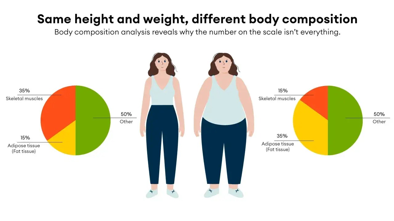 Dwie kobiety o tym samym wzroście i wadze. Jedna ma więcej mięśni, druga więcej tkanki tłuszczowej, co pokazuje zjawisko skinny fat.