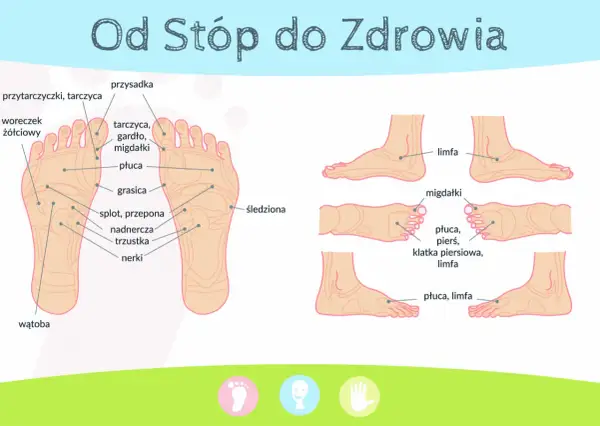 Schemat punktów refleksologicznych na stopach. Akupresura stóp może wspierać zdrowie narządów wewnętrznych, takich jak płuca, nerki czy wątroba.