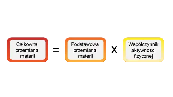 Trzy pola: "Całkowita przemiana materii", "Podstawowa przemiana materii" i "Współczynnik aktywności fizycznej".